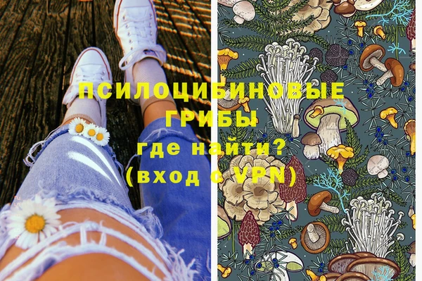 эйфоретик Алексин