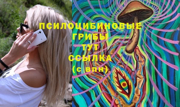 дживик Алексеевка