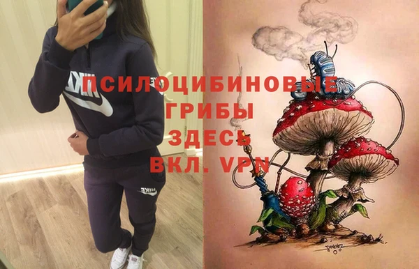 дживик Алексеевка