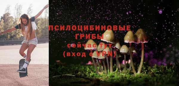 дурь Арсеньев